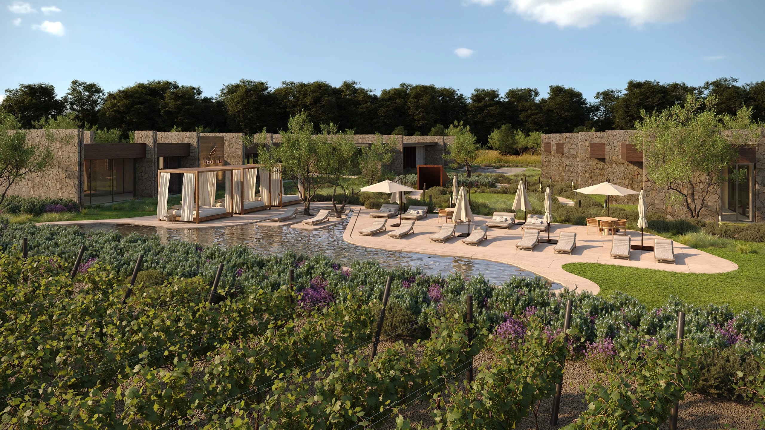 Pool and wellness cabanas overlooking the vineyard